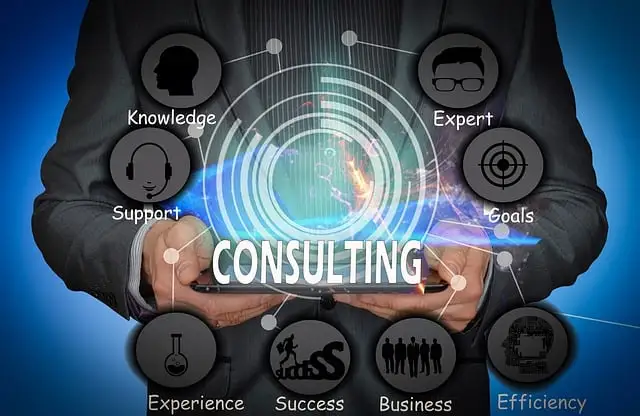 What is Sustainable Consulting