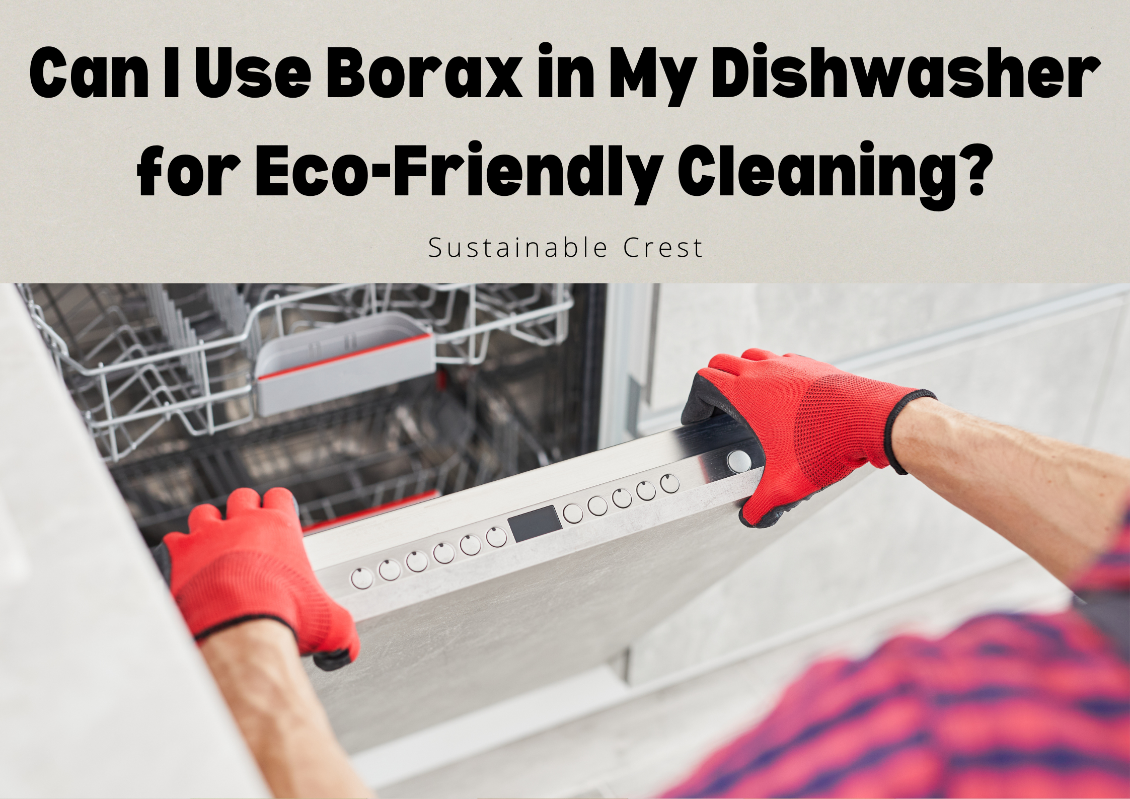 can i use borax in my dishwasher