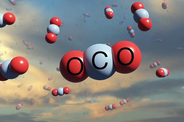 How Do I Become Carbon Neutral?